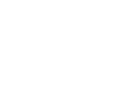 Holster
